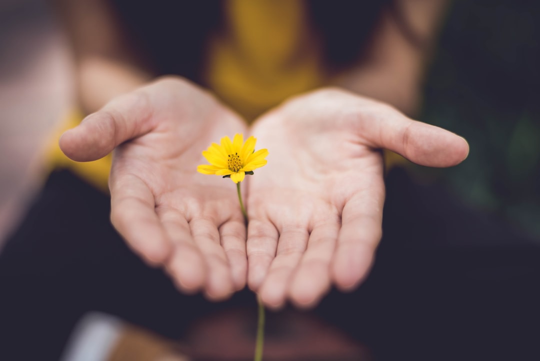 Hände halten eine Blume